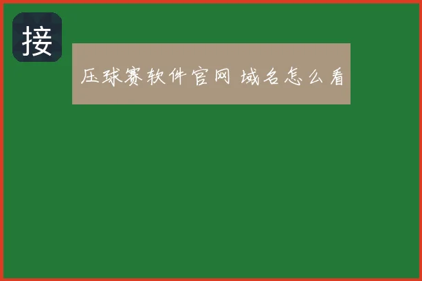 压球赛软件官网 域名怎么看